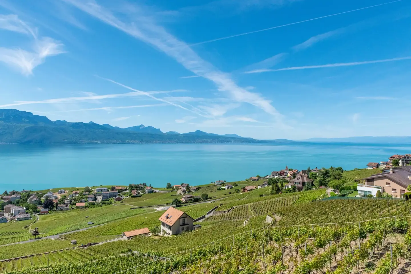 Producteur du terroir romand